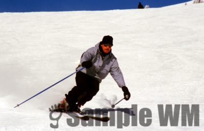GT_Digital_Service0278.jpg