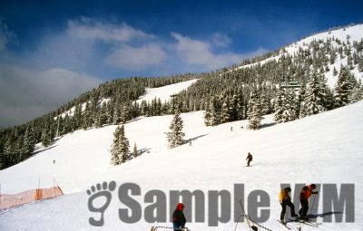 GT_Digital_Service0289.jpg