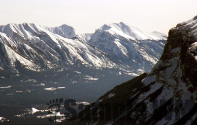 GT_Digital_Service0305.jpg