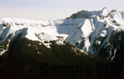 GT_Digital_Service0306.jpg