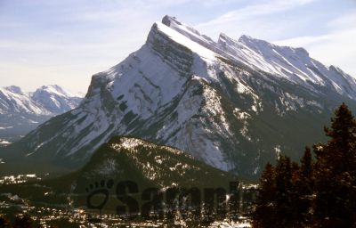 GT_Digital_Service0307.jpg