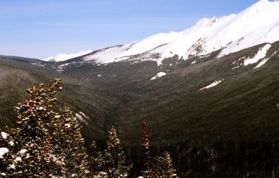 GT_Digital_Service0314.jpg