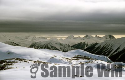 GT_Digital_Service0329.jpg