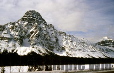 GT_Digital_Service0364.jpg