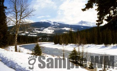 GT_Digital_Service0395.jpg