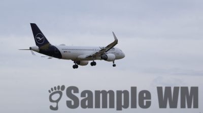 IMG_1288.JPG