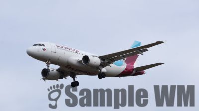 IMG_1305.JPG