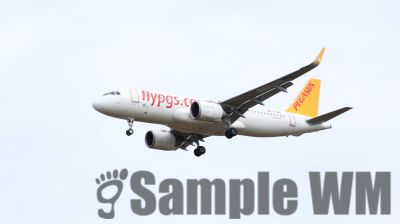 IMG_1349.JPG
