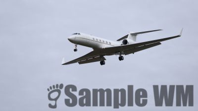 IMG_1422.JPG