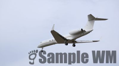 IMG_1431.JPG