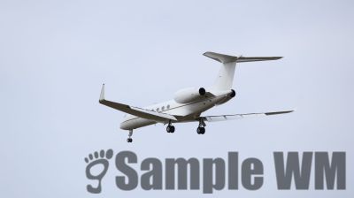 IMG_1433.JPG